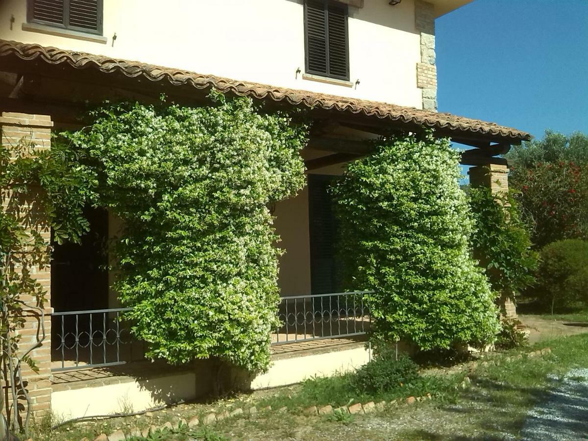 רוסאנו Pathirion B&B מראה חיצוני תמונה